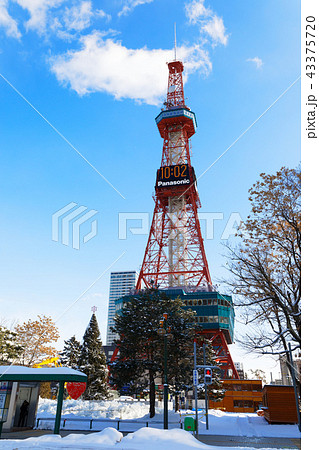 雪景色の大通公園より札幌テレビ塔を望む 雪景色の大通公園より札幌テレビ塔を望む 43375720