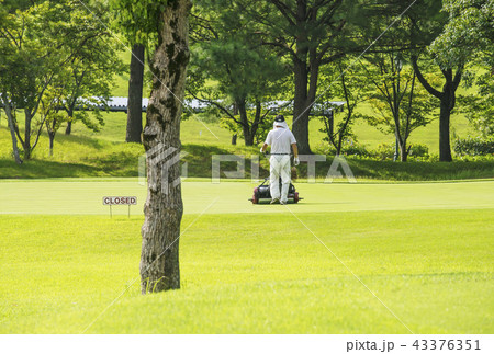 芝刈り機　ゴルフ場　メンテナンスイメージ　イメージ素材 43376351