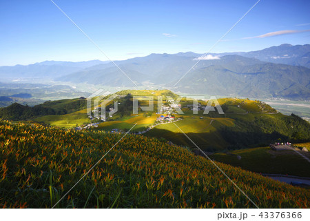 アジア人 アジアン アジア風 43376366