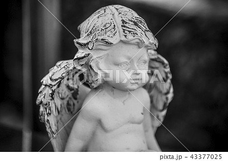 Closeup of stoned angel on tomb in cemetery 43377025