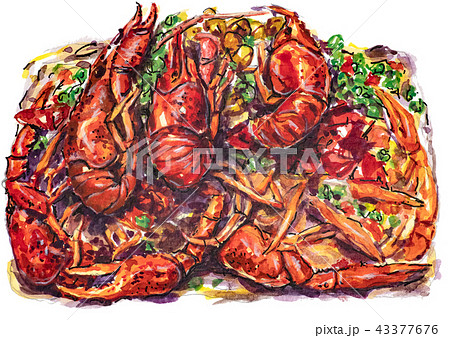 ザリガニ 海老 エビ 43377676