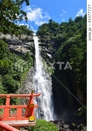 熊野那智大社 那智大滝 (和歌山県 東牟婁郡 那智勝浦町 ) 熊野那智大社 那智大滝 (和歌山県 東牟婁郡 那智勝浦町 ) 43377727