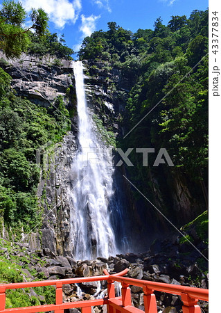 熊野那智大社 那智大滝 (和歌山県 東牟婁郡 那智勝浦町 ) 熊野那智大社 那智大滝 (和歌山県 東牟婁郡 那智勝浦町 ) 43377834