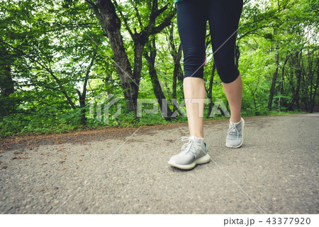 Close-up of a foot of a sporty girl in leggings and sneakers before jogging in the forest. The 43377920