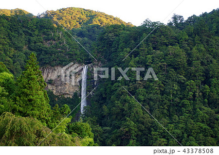 熊野那智大社 那智大滝 (和歌山県 東牟婁郡 那智勝浦町 ) 熊野那智大社 那智大滝 (和歌山県 東牟婁郡 那智勝浦町 ) 43378508