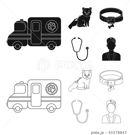 Collar, bone, cat, haircut .Vet Clinic set collection icons in black,outline style vector symbol 43378847