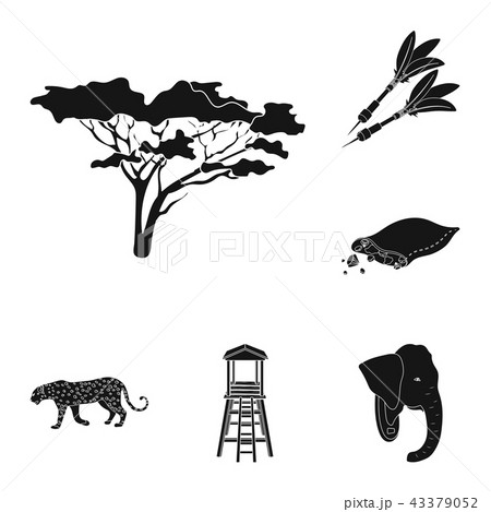 African Safari black icons in set collection for design. Trophies and equipment for Safari vector 43379052