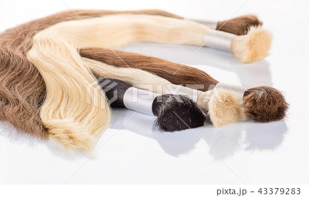 False colored hair on white background. Hair for h False colored hair on white background. Hair for h 43379283