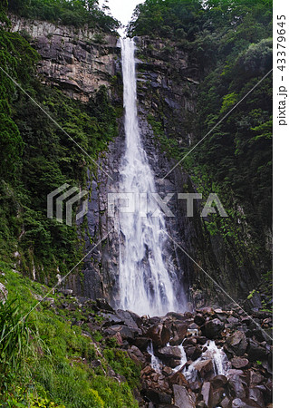 【世界遺産・和歌山県】那智の滝（那智の大滝） 43379645