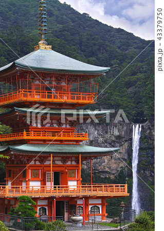 【世界遺産・和歌山県】那智の滝と三重塔(那智の大滝と三重宝塔) 【世界遺産・和歌山県】那智の滝と三重塔(那智の大滝と三重宝塔) 43379750