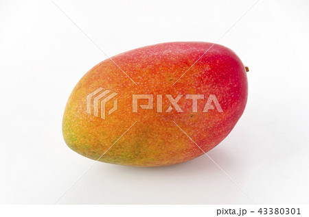 アップルマンゴー アップルマンゴー 43380301