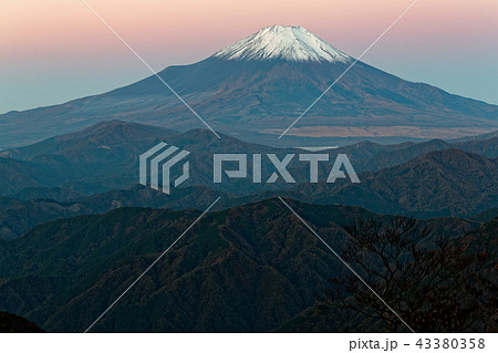 丹沢・檜洞丸から見る夜明けの富士山 43380358