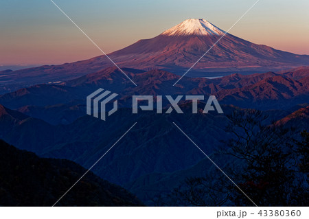 丹沢・檜洞丸から見る夜明けの富士山 43380360