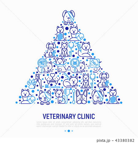 Veterinary clinic concept in triangle 43380382