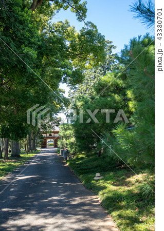 広徳寺　参道　埼玉県　比企郡　川島町 43380701
