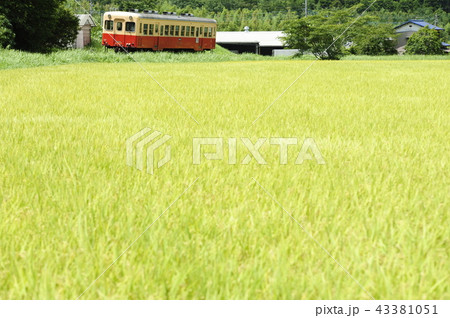 小湊鐵道 43381051