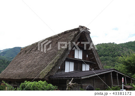 白川郷 夏 白川郷 夏 43381172