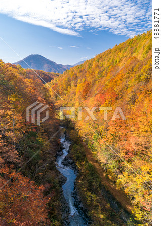 Nakatsugawa Fukushima Autumn Nakatsugawa Fukushima Autumn 43381771
