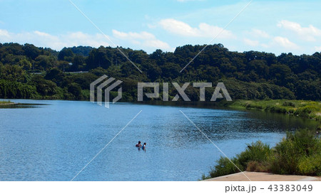 那珂川で水遊び 43383049