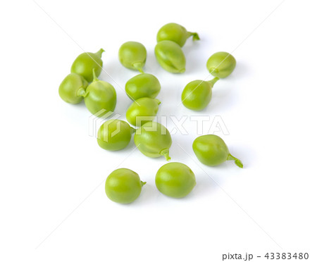 fresh peas isolated on white background 43383480