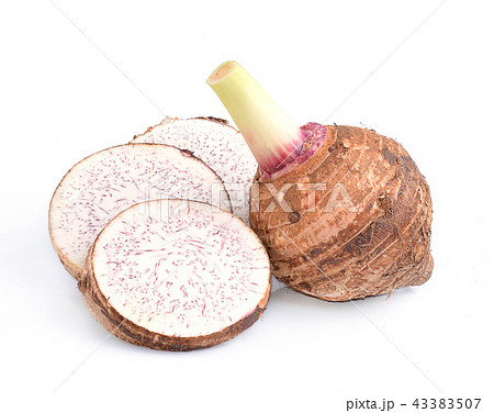 taro isolated on white background taro isolated on white background 43383507