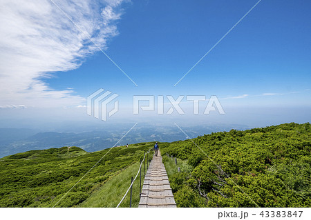 大山山頂 43383847