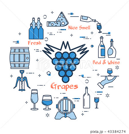 Blue round Grapes concept 43384274