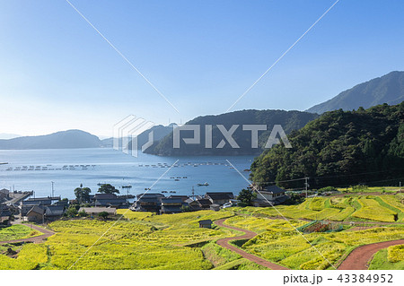 日引の棚田 43384952