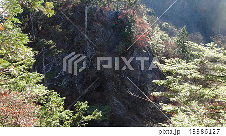 埼玉・両神山の八丁尾根コース 43386127