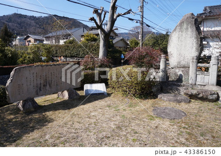 近江大津宮錦織遺跡 近江大津宮錦織遺跡 43386150