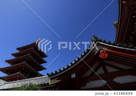 浅草寺 浅草寺 43386898