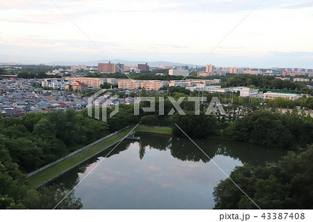 泉北ニュータウン　光明池　夕方 43387408