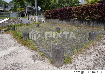 近江大津宮錦織遺跡 43387884
