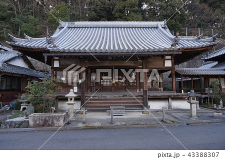 園城寺別所近松寺本堂 43388307