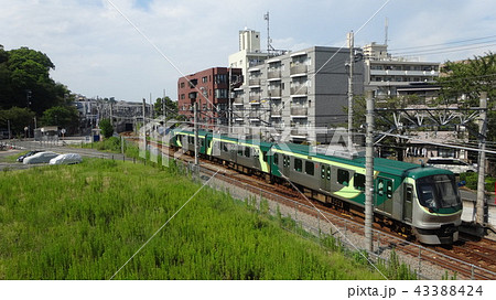 東急多摩川線　多摩川駅付近 43388424
