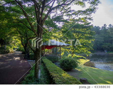 【伊豆】日本庭園と東屋風景【修善寺虹の郷】 43388630