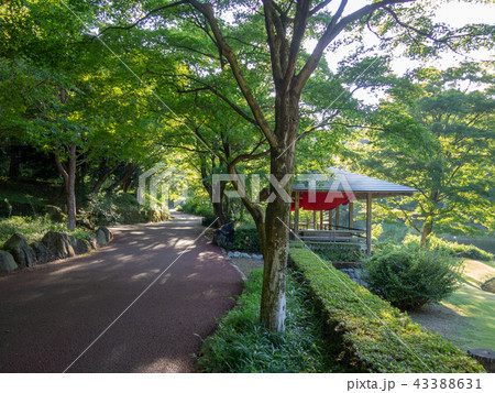 【伊豆】日本庭園と東屋風景【修善寺虹の郷】 43388631