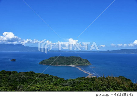 魚見岳から望む知林ヶ島 43389245