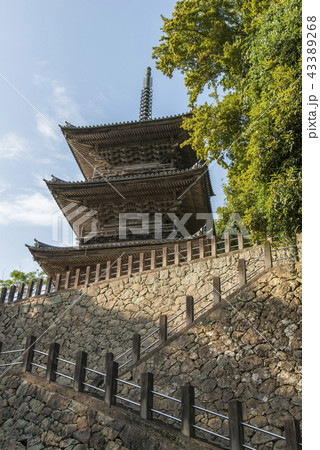 安来清水寺 三重塔 安来清水寺 三重塔 43389268