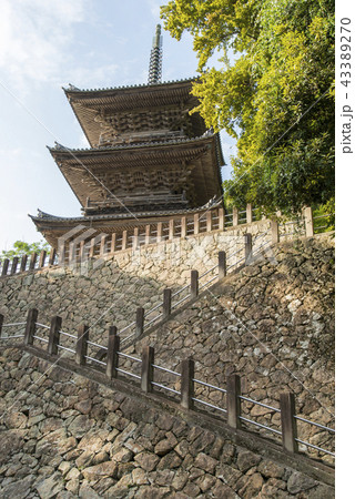 安来清水寺 三重塔 安来清水寺 三重塔 43389270
