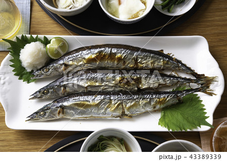 秋刀魚の塩焼き 43389339
