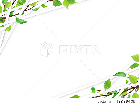 新緑 ライン フレーム Png 切り抜き素材 のイラスト素材