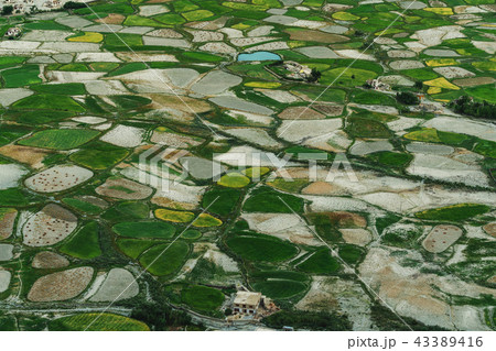 Aerial view landscape, Green rice field pattern Aerial view landscape, Green rice field pattern 43389416