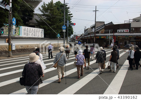 夏の豊川稲荷 43390162