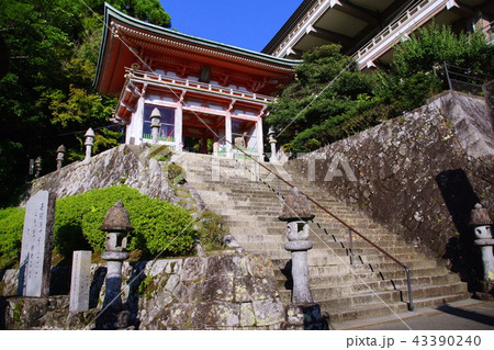 熊野那智　青岸渡寺　石段参道 ＆ 山門  （和歌山県 東牟婁郡 那智勝浦町 ） 43390240