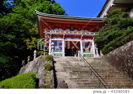 熊野那智　青岸渡寺　石段参道 ＆ 山門  （和歌山県 東牟婁郡 那智勝浦町 ） 43390385