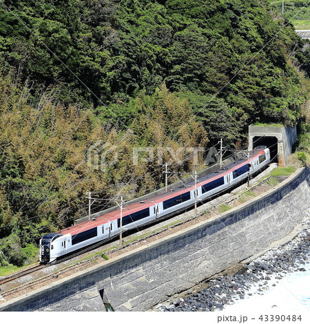 マリンエクスプレス踊り子号 43390484