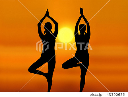 夕日に向かって立ち木のポーズ 夕日に向かって立ち木のポーズ 43390626