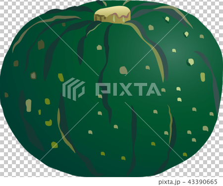 pumpkin pumpkin 43390665
