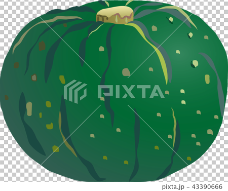 pumpkin pumpkin 43390666